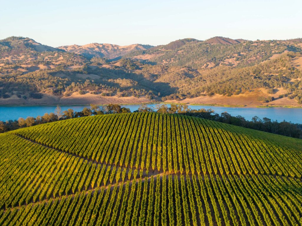 Upper range vineyard aerial.