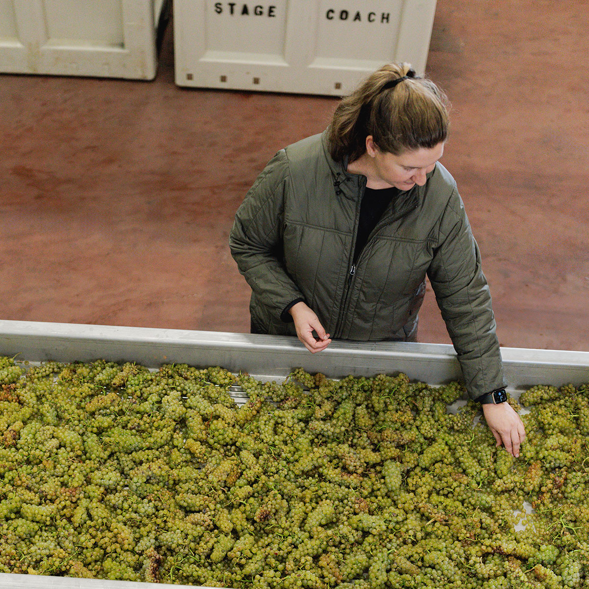 The 2025 Napa Vintage: Landing the Plane